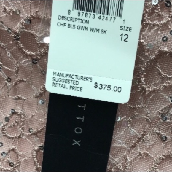 Aidan Mattox Lace blouson sleeveless Overlay chiffon long gown - Picture 6 of 14